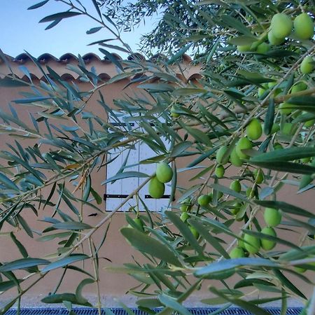 Reve En Luberon Lauris Exterior foto
