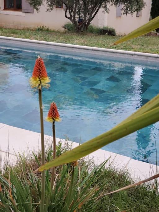 Reve En Luberon Lauris Exterior foto