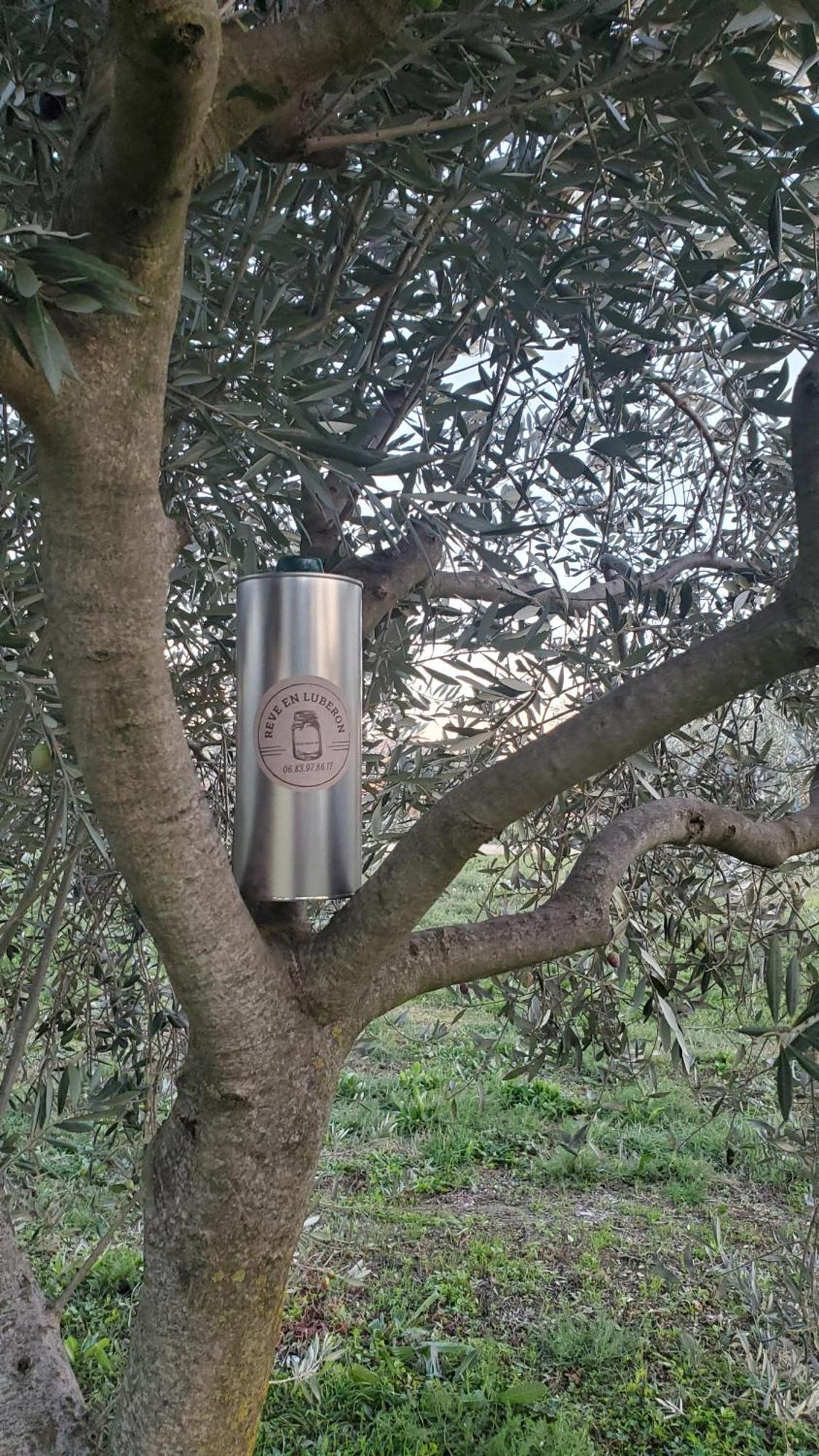 Reve En Luberon Lauris Exterior foto