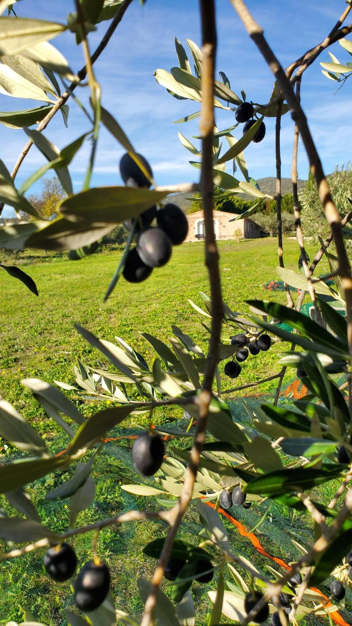 Reve En Luberon Lauris Exterior foto