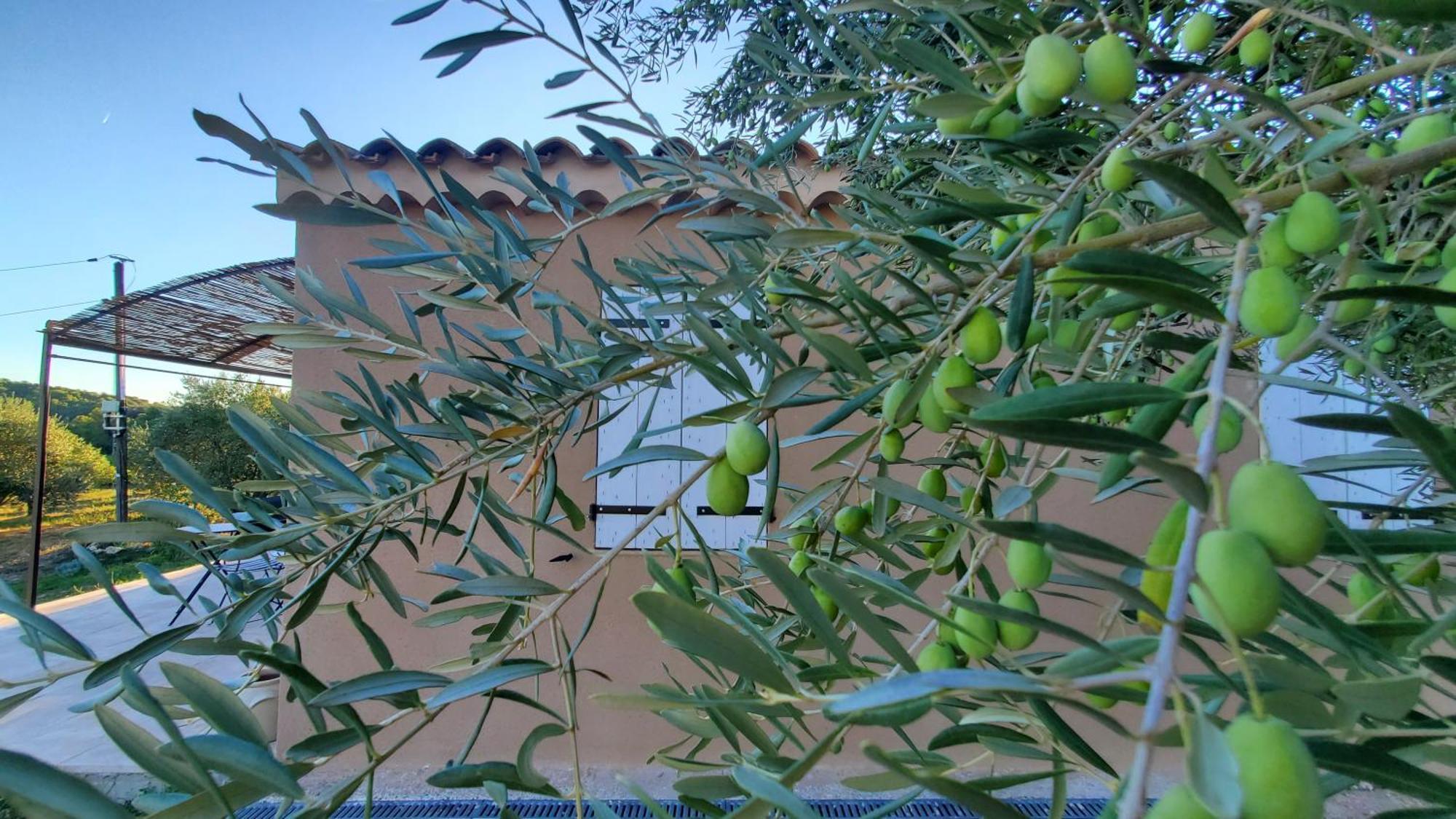 Reve En Luberon Lauris Exterior foto